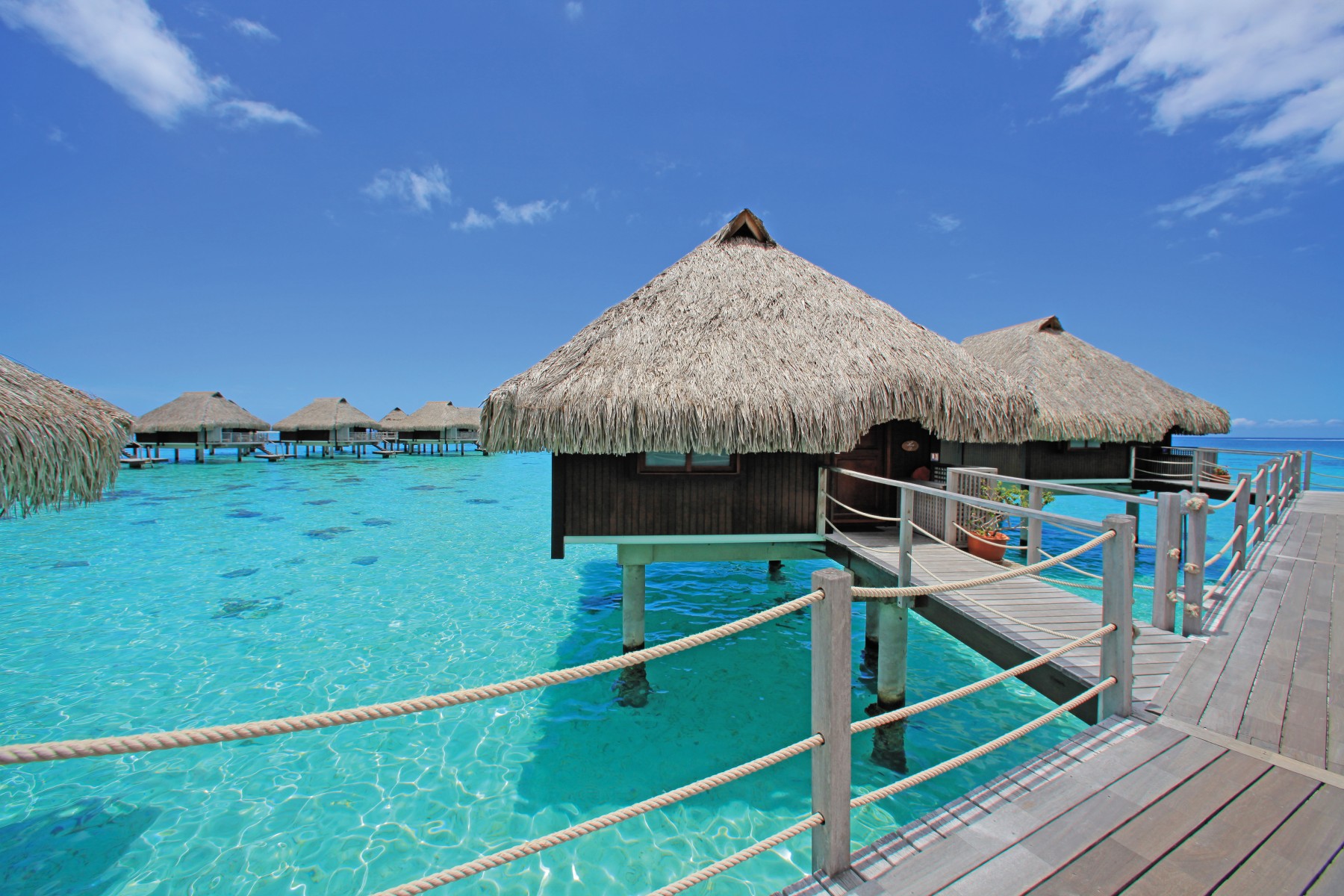 Hilton Moorea Lagoon Resort & Spa